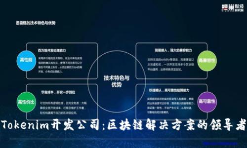 Tokenim开发公司：区块链解决方案的领导者