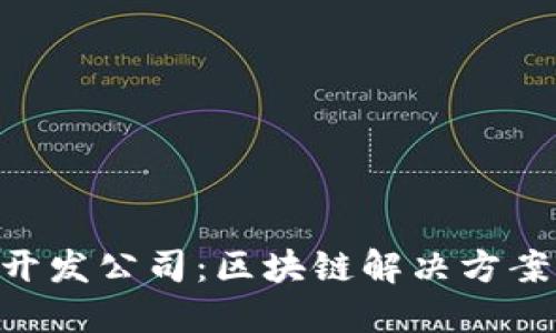 Tokenim开发公司：区块链解决方案的领导者