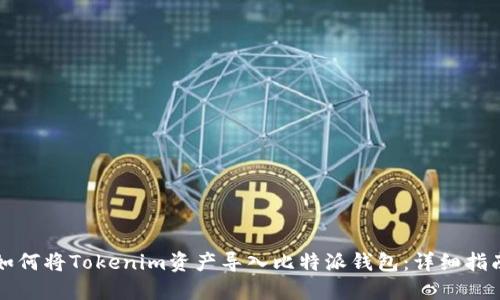 如何将Tokenim资产导入比特派钱包：详细指南