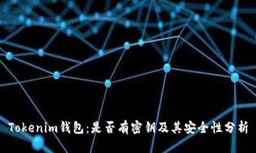 Tokenim钱包：是否有密钥及其安全性分析