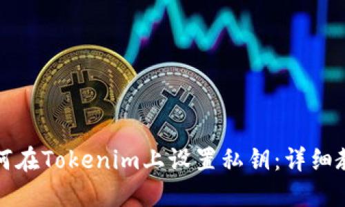 如何在Tokenim上设置私钥：详细教程