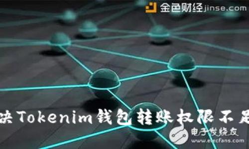 如何解决Tokenim钱包转账权限不足的问题