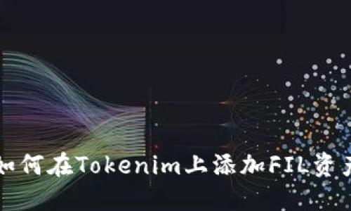 如何在Tokenim上添加FIL资产