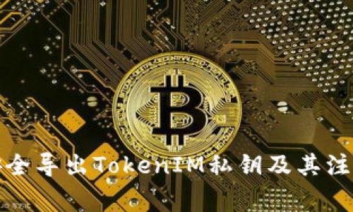 如何安全导出TokenIM私钥及其注意事项