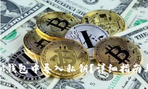 如何在TokenIM钱包中导入私钥？详细指南与常见问题解答