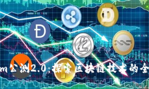 Tokenim公测2.0：探索区块链技术的全新体验