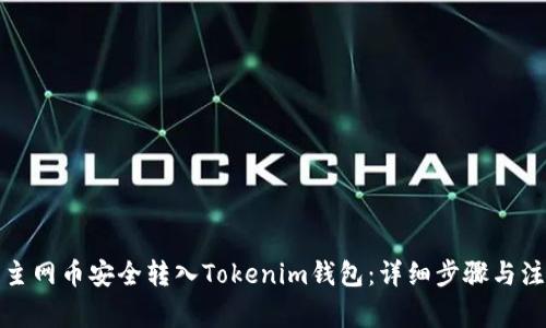 如何将主网币安全转入Tokenim钱包：详细步骤与注意事项