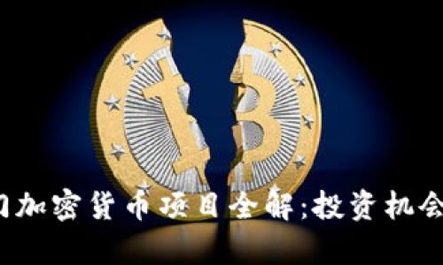 2023年热门加密货币项目全解：投资机会与风险分析