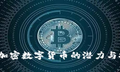 没傻币：加密数字货币的潜力与挑战解析