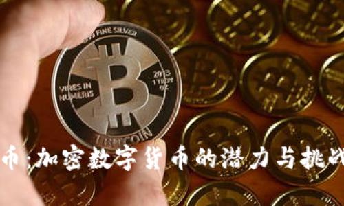 没傻币：加密数字货币的潜力与挑战解析