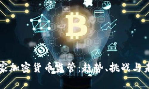 国家加密货币监管：趋势、挑战与未来
