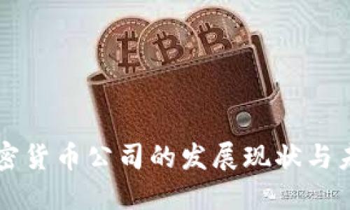 厦门加密货币公司的发展现状与未来展望