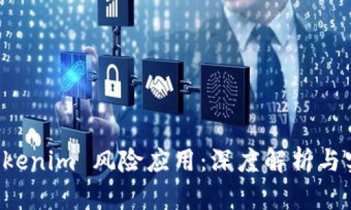 理解 Tokenim 风险应用：深度解析与实战指南