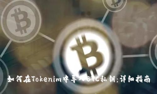 如何在Tokenim中导入BTC私钥：详细指南
