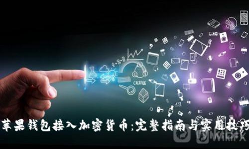 苹果钱包接入加密货币：完整指南与实用技巧