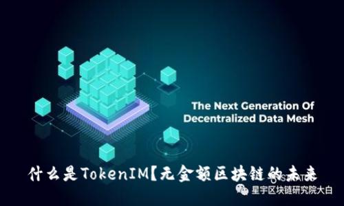 什么是TokenIM？无金额区块链的未来
