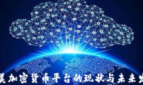 
南美加密货币平台的现状与未来发展