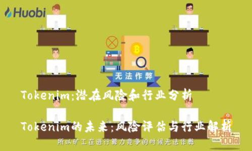 Tokenim：潜在风险和行业分析

Tokenim的未来：风险评估与行业解析
