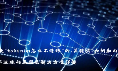 下面是围绕“tokenim怎么不进账”的、关键词、大纲和内容的规划。

Tokenim不进账的原因及解决方案详解