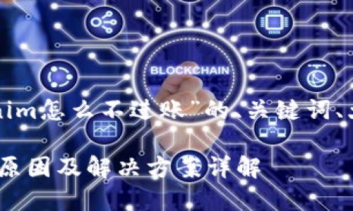 下面是围绕“tokenim怎么不进账”的、关键词、大纲和内容的规划。

Tokenim不进账的原因及解决方案详解