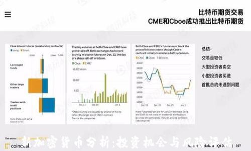 
新加密货币分析：投资机会与风险评估
