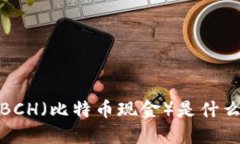 深入探讨：BCH（比特币现