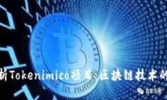 : 深入解析Tokenimico项目：