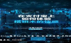 好的，下面是关于“toke