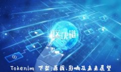 Tokenim 下架：原因、影响及