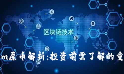 Tokenim屎币解析：投资前需了解的重要信息