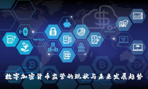 数字加密货币监管的现状与未来发展趋势