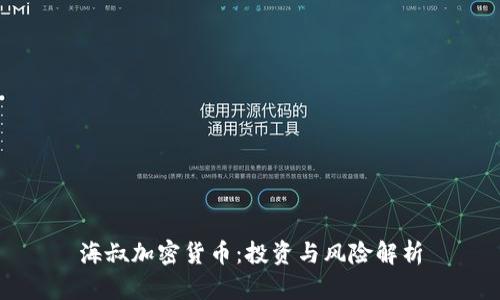 海叔加密货币：投资与风险解析