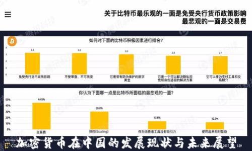 
加密货币在中国的发展现状与未来展望
