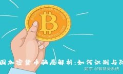 美国加密货币骗局解析：