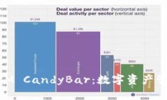 ## TokenIM CandyBar：数字资产