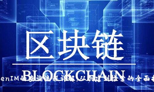 TokenIM的查询流程详解：从创建到检索的全面指南