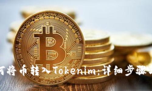 : 如何将币转入Tokenim：详细步骤与技巧