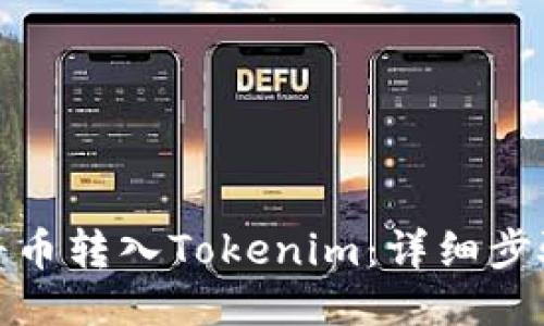 : 如何将币转入Tokenim：详细步骤与技巧