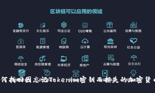 如何找回因忘记Tokenim密钥而损失的加密货币？