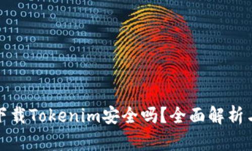 在百度上下载Tokenim安全吗？全面解析与使用指南