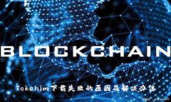 Tokenim下载失败的原因及解