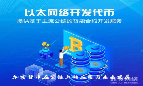 加密货币在公链上的应用与未来发展