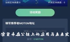 加密货币在公链上的应用