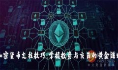 加密货币支柱技巧：掌握