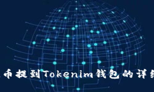 如何将FIL币提到Tokenim钱包的详细流程教程