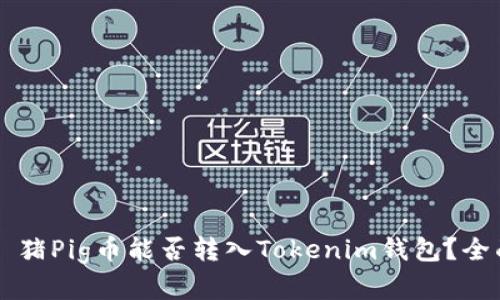 ### 猪Pig币能否转入Tokenim钱包？全面解析