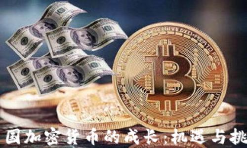 
中国加密货币的成长：机遇与挑战