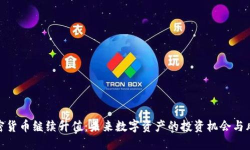 加密货币继续升值：未来数字资产的投资机会与风险