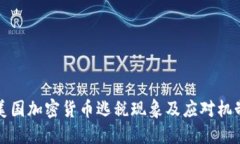 美国加密货币逃税现象及