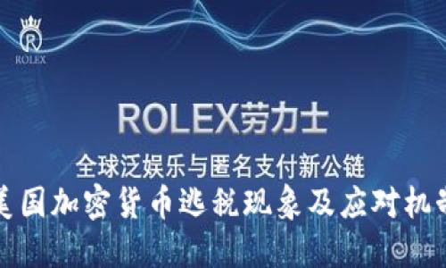美国加密货币逃税现象及应对机制